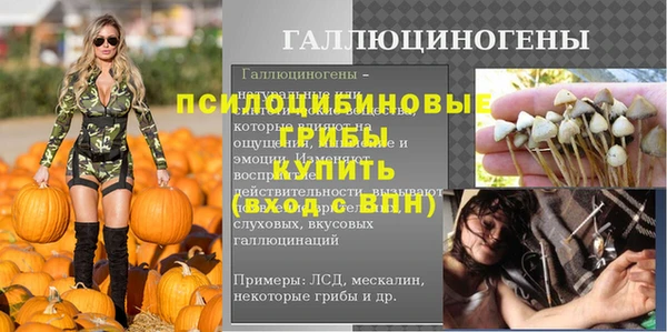 круглые Горно-Алтайск