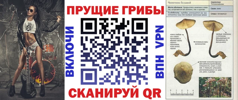 мега сайт  Златоуст  Галлюциногенные грибы Psilocybe  цена наркотик 